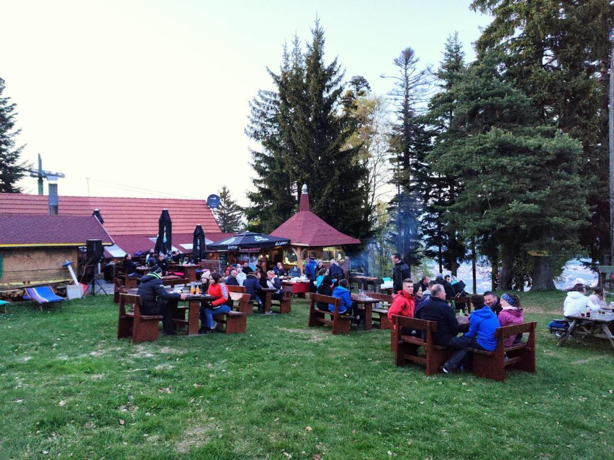 Brunarica Planika Mtb Point Марибор Экстерьер фото
